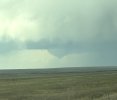 IMG_2020.jpeg