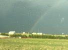 IMG_2078.jpeg