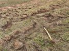 IMG_4908.jpeg