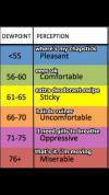 IMG_2798.png