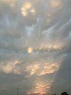 IMG_3564.jpeg