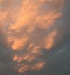 IMG_3566.jpeg
