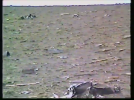 vlcsnap-2026-08-29-22h11m21s944.png