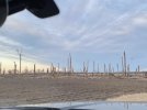 IMG_0921.jpeg