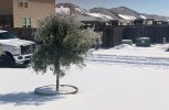 IMG_1634.jpeg