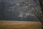 _DSC0933.png