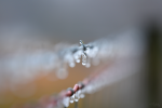 _DSC0974.png