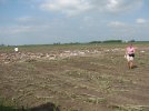 20100625SIBLEY10.jpg
