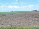 20100625SIBLEY3.jpg