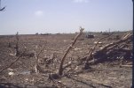 19990503MOORE8.jpg