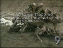 5399b4079d315639.png