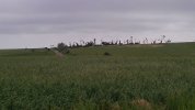 AF0DZ05K_1369750058109.jpg
