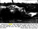 Screenshot_2021-03-07 Twin Falls Idaho Evening Times Archives Apr 27, 1940, p 8(1).png Screenshot_2021-03-07 Twin Falls Idaho Evening Times Archives Apr 27, 1940, p 8(1).png