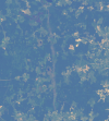 19840609YAROSLAVL.PNG