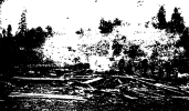 Screenshot_2021-03-14 Document Tribune Publishing Co Archives.png