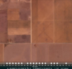 Screenshot_2021-03-15 Planet Explorer(1).png