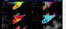 Screenshot_20210318-135815_wX.jpg