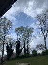 900CAC9D-7FDF-4404-8479-AD6AC9A76B64.jpeg