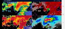 Screenshot_20210325-102210_wX.jpg