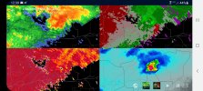 Screenshot_20210325-123901_wX.jpg