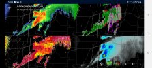 Screenshot_20210325-170409_wX.jpg