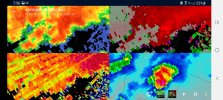 Screenshot_20210327-195620_wX.jpg
