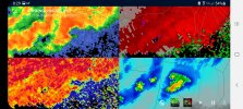 Screenshot_20210327-202925_wX.jpg