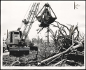 19550525BLACKWELL11.png