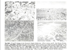 Screenshot_2021-03-28 Andover 6 png (PNG Image, 667 × 490 pixels).png