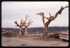 19740403BRANDENBURG22.jpg