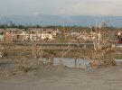 20080510PICHER16.jpg