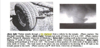 Screenshot_2021-04-01 Storm Data - Google Books.png