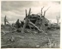 BunkerHill(Fosterburg)IL1948vehicle.jpg