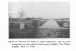 Tupelo.png