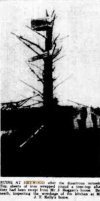 heywood3.jpg