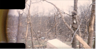 Screenshot_2021-04-10 Fridley 1965 May 7th Tornado aftermath(2).png