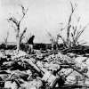 19650508PRIMROSE7.PNG