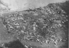 20000714PINELAKEAERIAL.PNG