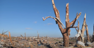 20131117WASHINGTON22.png