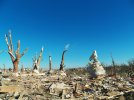 20131117WASHINGTON32.jpg