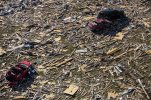 chi-aerial18cars-20131118.jpg