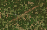 20200412WALTHALL.PNG