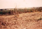 19660608TOPEKA13.jpg