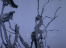 19640403WICHITAFALLS10.PNG
