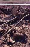 IMG_20210423_120725.jpg
