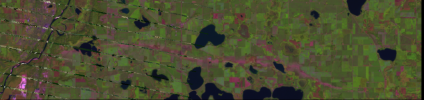 1619314276242.png