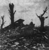 19480319FORESTBURG2.PNG