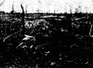 19480319FORESTBURG3.PNG