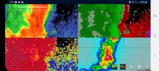 Screenshot_20210427-192501_wX.jpg
