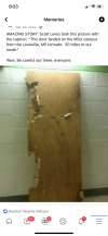 D90C7BDB-E314-4662-9343-3C12D2E2283A.png